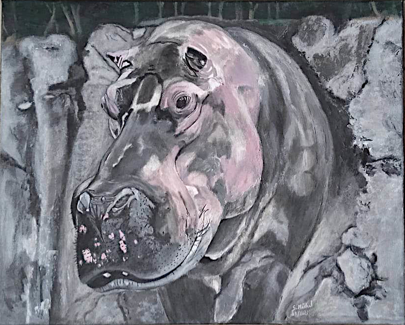 Fiona l'hippopotame